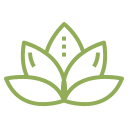 Yoga Zaneta Lotus Flower Icon