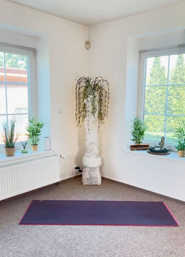 Privatni-studio-jogy-Seberov-Praha-4-Zaneta Privatni-studio-jogy-Seberov-Praha-4-Zaneta